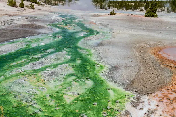 Photo of hotsprings