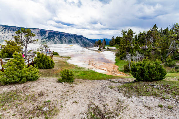 mammoth hot springs - carbonic acid imagens e fotografias de stock