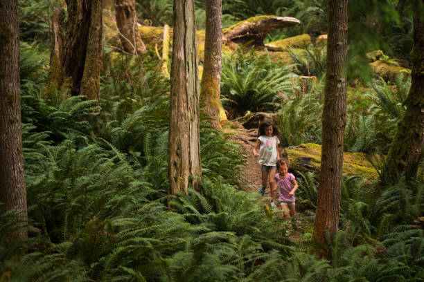 istock Sisters immersed in lush nature 1066046988