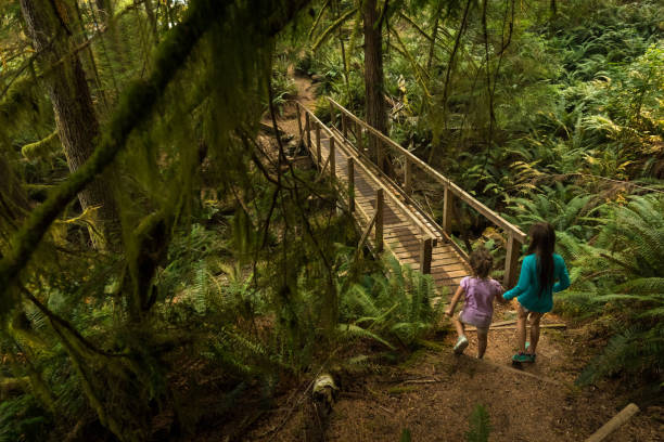 istock Sisters immersed in lush nature 1066047004