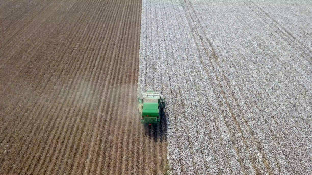 istock Aerial view of a Cotton picker working in a field. 1066047088