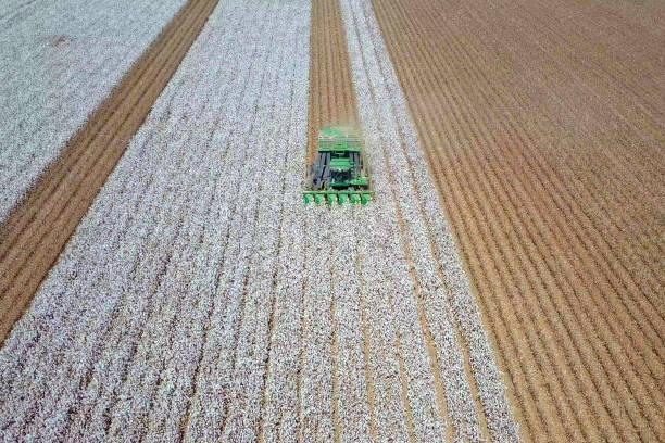 istock Aerial view of a Cotton picker working in a field. 1066048706