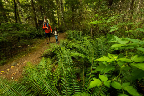 istock Father and daughters bonding in nature 1066049126
