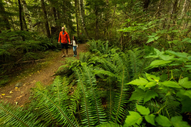 istock Father and daughter bonding in nature 1066049142