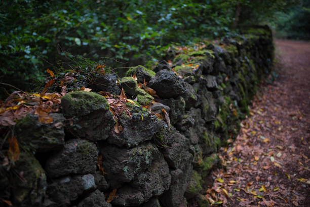 istock Jeju Black Stone Fences 1066051972