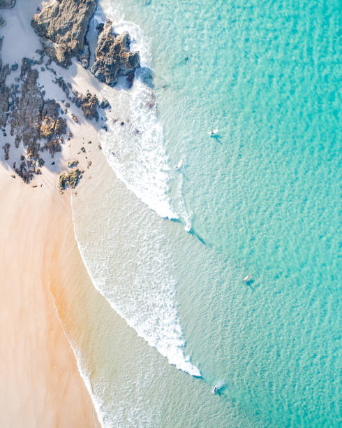 Aerial view of a beach and water.