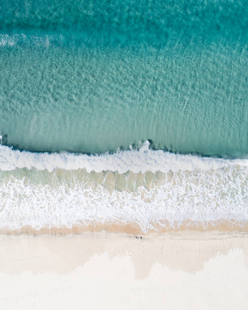 Aerial view of a beach and water.