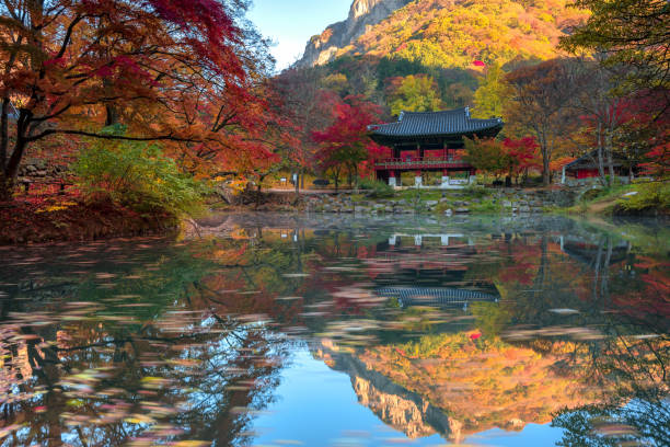 istock Autumn Baekyangsa  VD701 1066063446