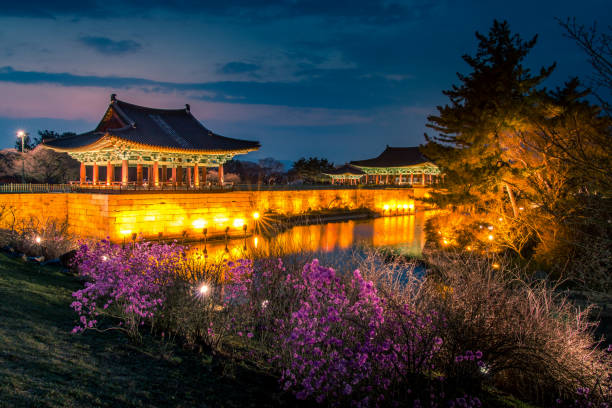 In the spring, the inner pressure is harmonious with azaleas and night view