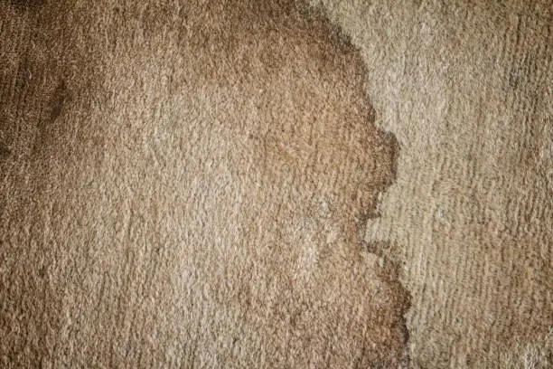 Photo of The texture of old dirty doormat with stain