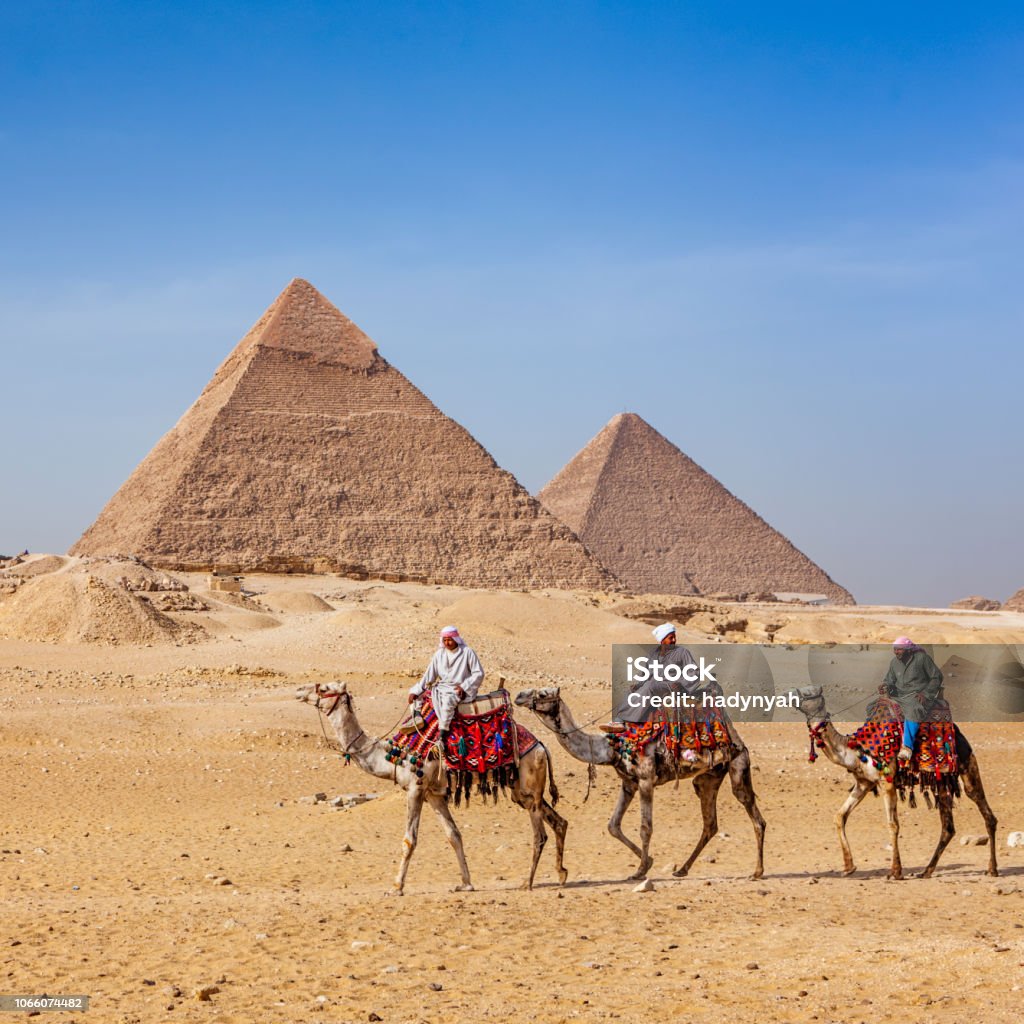 Bedouins and pyramids Bedouins riding on camels, pyramids on the background, Giza, Egypt. Egypt Stock Photo