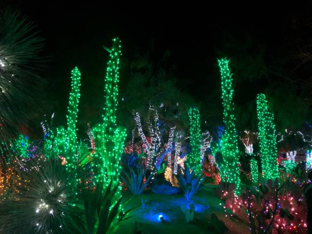 kaktus boże narodzenie - nevada desert landscape cactus zdjęcia i obrazy z banku zdjęć