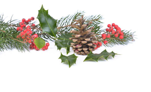 istock natural and traditional christmas decoration 1066079470