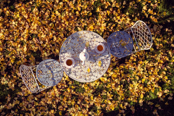 tea time under a gingko tree in autumn. copy space for design.