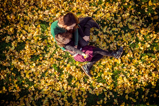 Mother with daughter in a green dress lies in the autumnal foliage of a ginkgo tree. Copy space for design.