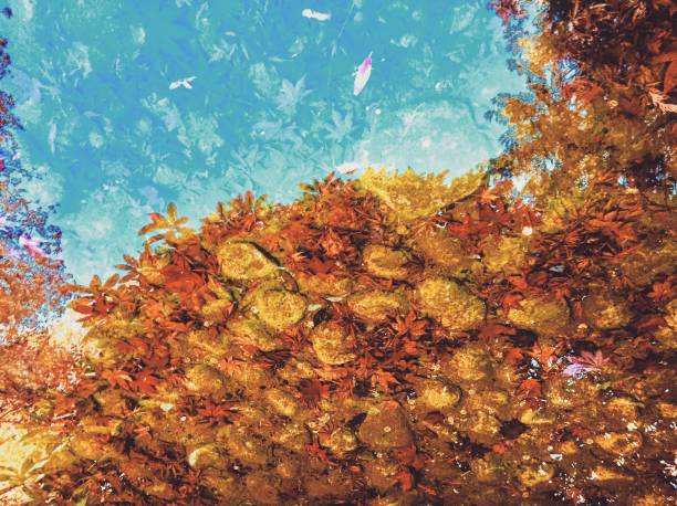 istock Abstract water reflection of leaves 1066090692