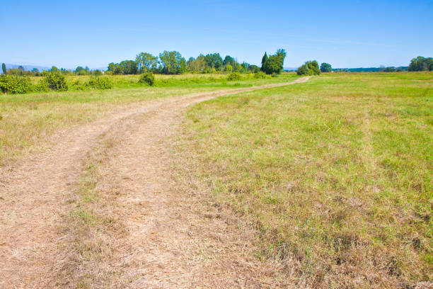istock Tipical Tuscany country road (Italy) 1066100706