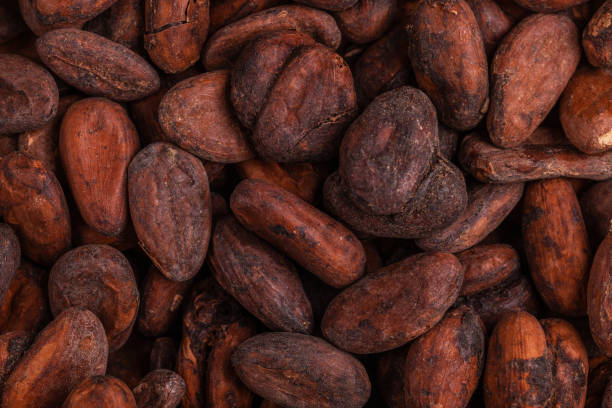 istock Aromatic raw cocoa beans background. Top view. Close up 1066103316