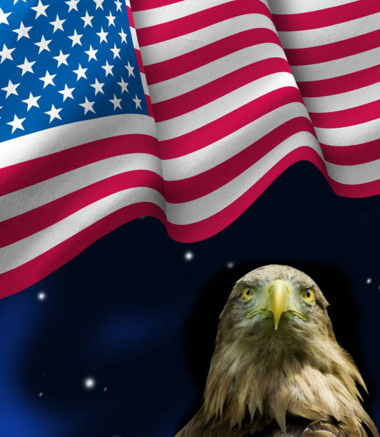 istock bird eagle and American flag 1066103958