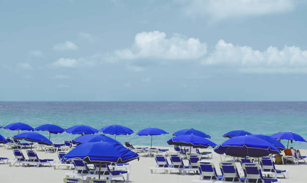 istock Blue umbrellas on a beach on a cloudy day 1066110458