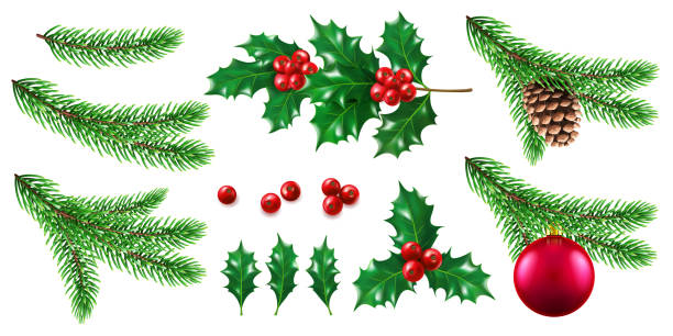 illustrations, cliparts, dessins animés et icônes de branche de pin ou de sapin avec jouet et holly berry - christmas tree christmas holly holiday