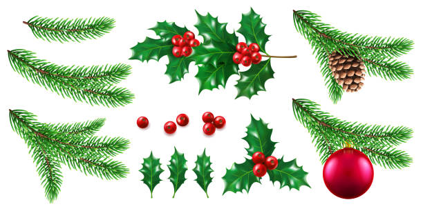 ilustrações, clipart, desenhos animados e ícones de galho de árvore de pinho ou de abeto com brinquedo e holly berry - christmas tree fir tree branch christmas