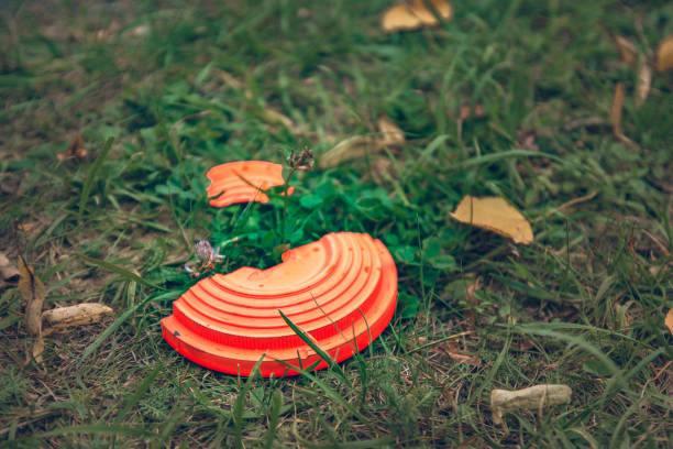 placa vuela naranja rota acostado en la hierba - skeet shooting shooting clay target shooting fotografías e imágenes de stock