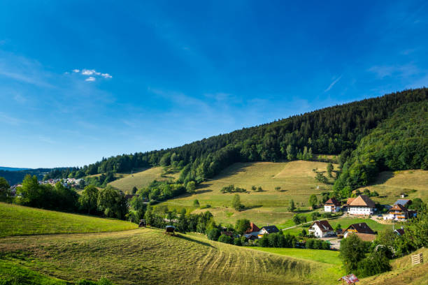 istock Germany, Original black forest landscape and houses 1066115458