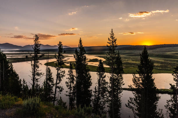 istock Sunrise at Hayden Valley 1066117546