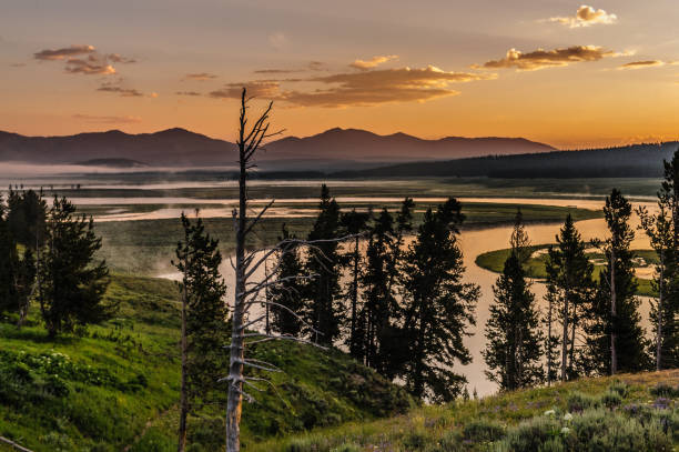 istock Sunrise at Hayden Valley 1066117580