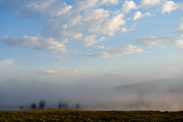 istock Early Morning in Yellowstone 1066117722