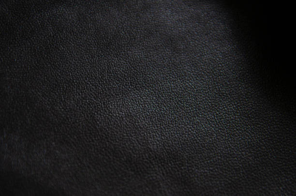 istock Background. Texture. Black animal skin macro photo 1066122648