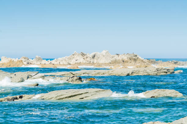 Natural sea rock on Peninsula south Island New Zealand East coast