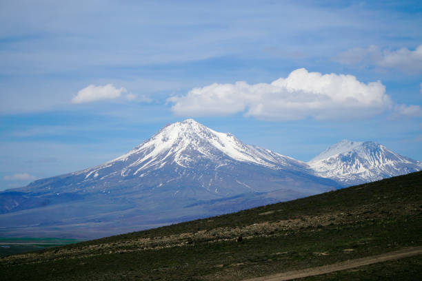 Apple blossoms and Mt. Iwaki. Aomori, Japan