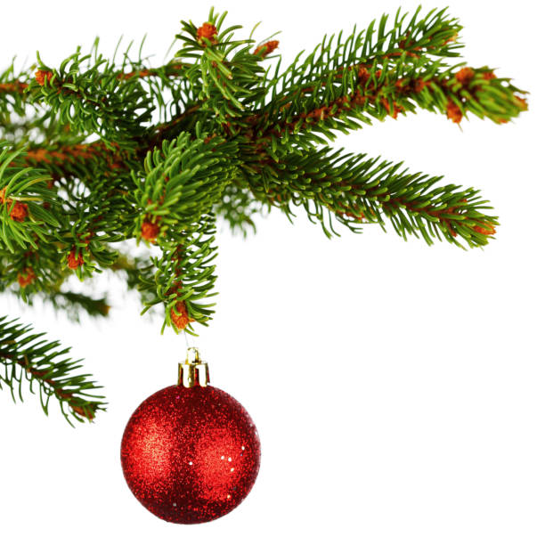 istock Christmas tree branch with decoration ball isolated on white 1066141658