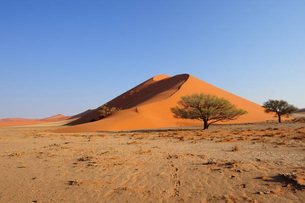 istock Red dune in Sosussvlei 1066144284