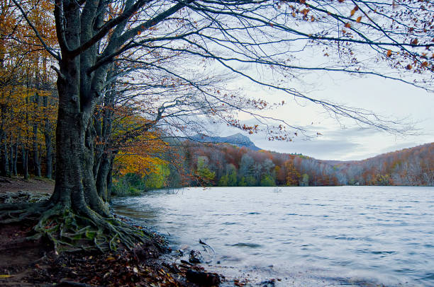 istock Santa Fe del Montseny Reservoir 1066146014