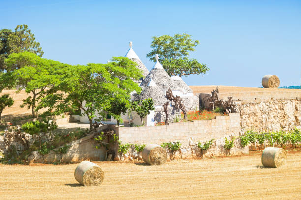 Martina Franca, Apulia - Traditional apulian Trulli farmhouse in Italy Martina Franca, Apulia, Italy - Traditional apulian Trulli farmhouse in Italy trulli house photos stock pictures, royalty-free photos & images