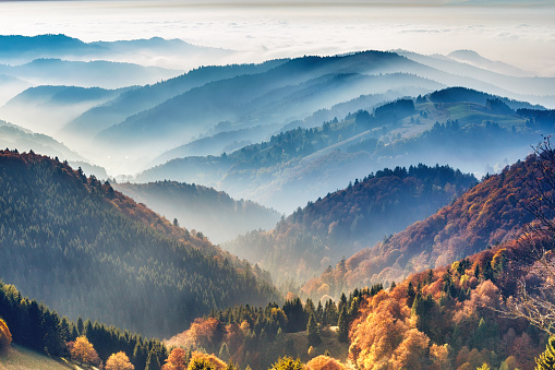 Scenic mountain landscape. View on the Black Forest, Germany, covered in fog. Colorful travel background.