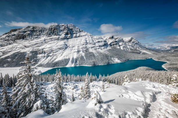 parco nazionale di banff - winter river foto e immagini stock