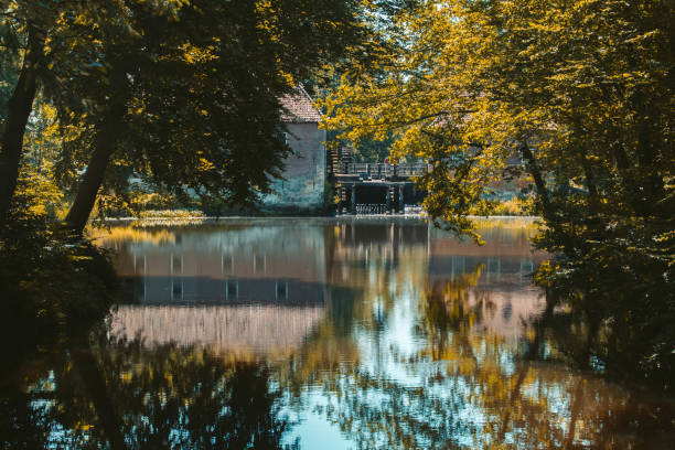 Trees and building reflected in the river Indrois, near Loches, France