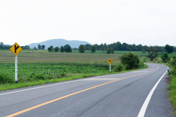 istock asphalt road in countryside with corn field,curve road 1066167214