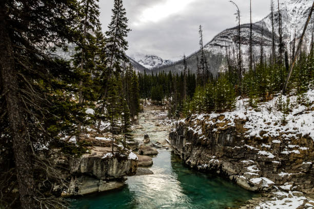 tokkum creek scorre attraverso marble canyon, kootney national park, british columbia, canada - marble canyon foto e immagini stock