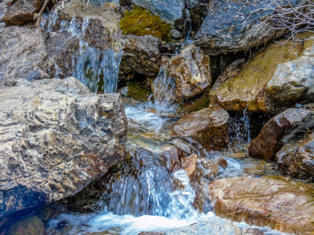 early spring at tangle creek falls, jasper national park, alberta, canada - tangle falls imagens e fotografias de stock