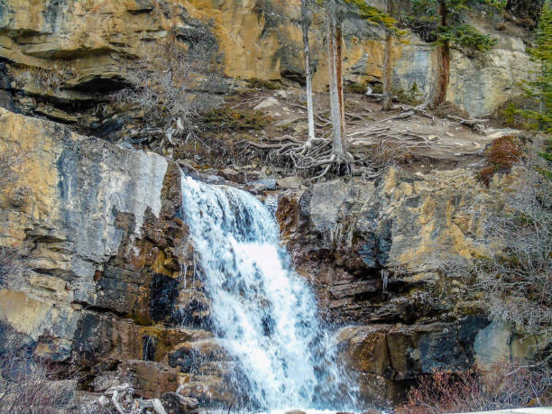 início da primavera no emaranhado creek falls, parque nacional de jasper, alberta, canadá - tangle falls - fotografias e filmes do acervo