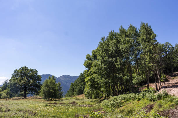 istock Landscape in Rhodopes 1066172562