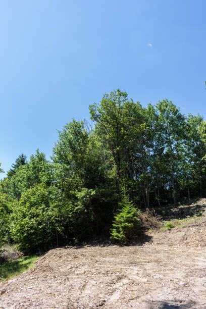 istock Landscape in Rhodopes 1066172570