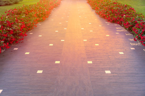 Pathway with red flowers on sides of road