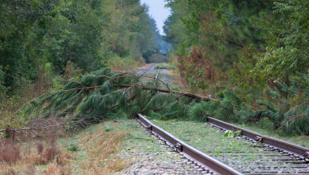 istock Blocked railway after Hurricane Florence 1066179136