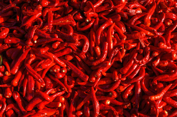 istock Stack of red hot chili pepper. 1066182570
